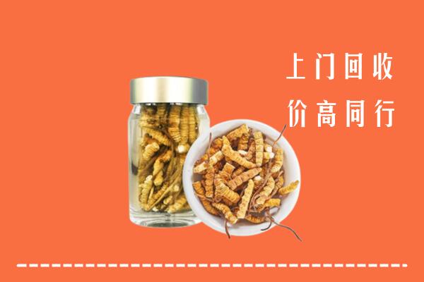 资阳高价回收冬虫夏草